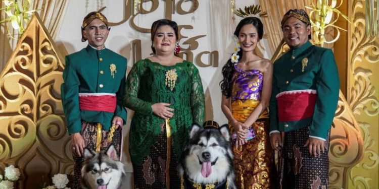 Viral Pernikahan Anjing, Forum Bela Budaya Adat Lapor Polisi