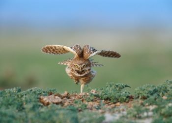 Menkeu Catat Belanja Negara untuk Masyarakat Capai Rp 492 Triliun