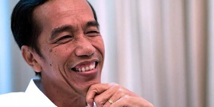 Soal Hinaan Rocky Gerung, Jokowi: Saya Kerja Saja