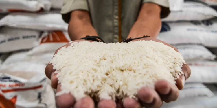 Kenaikan harga beras