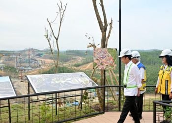 Jokowi: Kantor Kepresidenan di IKN Sudah 38 Persen