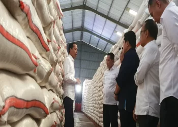 Indonesia akan impor beras sebesar 250 ribu ton dari Kamboja