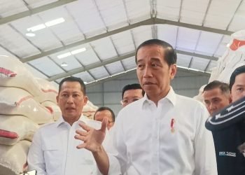 Menteri Jadi Capres-Cawapres, Jokowi: Yang Penting Tak Pakai Fasilitas Negara