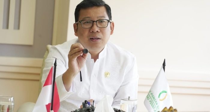 Jokowi Tunjuk Kepala Bapanas Arief Prasetyo Adi Jadi Plt Mentan