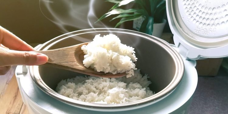 Ingin Dapat Rice Cooker Gratis dari Pemerintah? Ini Syaratnya