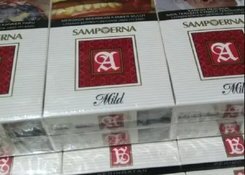 PT HM Sampoerna Tbk mencatatkan pendapatan sebesar Rp 87,29 triliun dan mengantongi laba bersih sebesar Rp 6,20 triliun