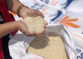 Harga beras, bawang, cabai, telur ayam, gula, hingga minyak goreng curah pada hari ini (10/1/2024), dicatat melonjak naik