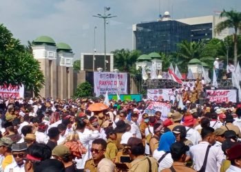 Demo APDESI di Gedung DPR Berlangsung Ricuh
