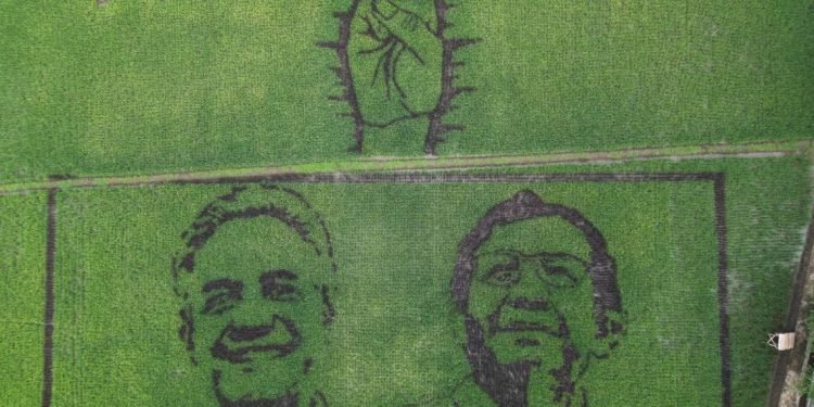 Seniman Pari Corek Sulap Sawah Jadi Gambar Ganjar-Mahfud