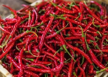 Untuk cabai rawit merah, harga kini mencapai Rp 90 ribu per kilogram. Sebelumnya, harga cabai rawit merah ada di kisaran Rp 60 ribu per kilogram