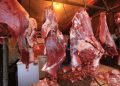 kuota-impor-daging-2026-dipangkas-pengusaha-terancam-phk