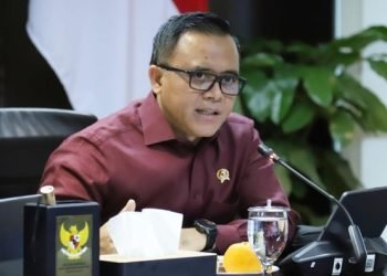 Menteri PANRB Pangkas Jumlah PNS Pindah ke IKN Jadi 6000 Orang