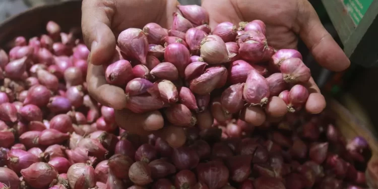 Harga Bawang Merah ‘Melambung Tinggi’, Kemendag Buka Suara