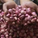 Harga Bawang Merah ‘Melambung Tinggi’, Kemendag Buka Suara
