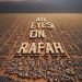 Viral ‘All Eyes on Rafah’ Menggema di Medsos