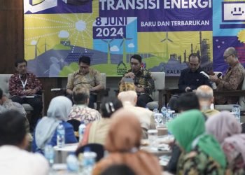 Emil Salim Institute