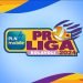 PLN Mobile Proliga 2024