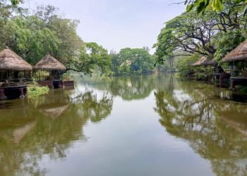 Menurut Achmad Syukri Prihanto kembali, Solo Safari memiliki tim kesehatan hewan yang lengkap mulai dokter hewan sampai keeper yang memantau 24 jam. Begitu juga klinik satwa, kondisi kandang yang bersih dan nyaman. Terlebih lagi, Solo Safari memiliki konsep menempatkan satwa seperti habitat aslinya, yang merupakan salah satu fasilitas agar kesehatan satwa terjamin.