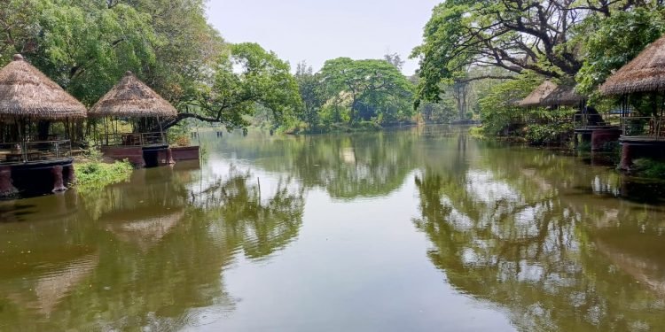 Menurut Achmad Syukri Prihanto kembali, Solo Safari memiliki tim kesehatan hewan yang lengkap mulai dokter hewan sampai keeper yang memantau 24 jam. Begitu juga klinik satwa, kondisi kandang yang bersih dan nyaman. Terlebih lagi, Solo Safari memiliki konsep menempatkan satwa seperti habitat aslinya, yang merupakan salah satu fasilitas agar kesehatan satwa terjamin.