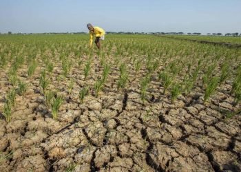 Minim Hujan, 12 Kecamatan di Pandeglang Banten Alami Kekeringan