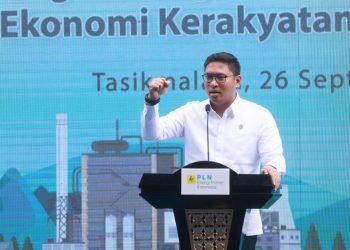 Menurut Direktur Utama PLN, Darmawan Prasodjo, program memanfaatkan lahan kritis dengan luas total 1,7 juta hektare yang tersebar di seluruh tanah air, akan mampu berkontribusi dalam upaya penurunan emisi sebesar 11 juta ton CO2e melalui co-firing biomassa. Ke depan, program ini ditargetkan akan melibatkan 1,25 juta masyarakat dan bernilai ekonomi sebesar Rp9,5 triliun per tahun