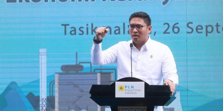 Menurut Direktur Utama PLN, Darmawan Prasodjo, program memanfaatkan lahan kritis dengan luas total 1,7 juta hektare yang tersebar di seluruh tanah air, akan mampu berkontribusi dalam upaya penurunan emisi sebesar 11 juta ton CO2e melalui co-firing biomassa. Ke depan, program ini ditargetkan akan melibatkan 1,25 juta masyarakat dan bernilai ekonomi sebesar Rp9,5 triliun per tahun