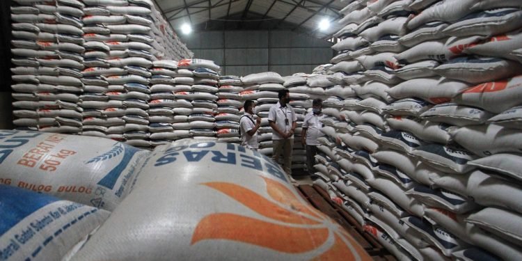 Menurut Zulhas kembali, pada tahun 2024, pemerintah telah menetapkan akan mengimpor beras sebanyak 3,6 juta ton. Sementara itu, realisasi impor pada Januari hingga Agustus 2024 tercatat hanya 2.937.772 ton dan pada September hingga Desember rencananya akan mengimpor sebanyak 1.552.686 ton.