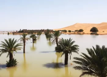 Gurun Sahara Dilanda Banjir
