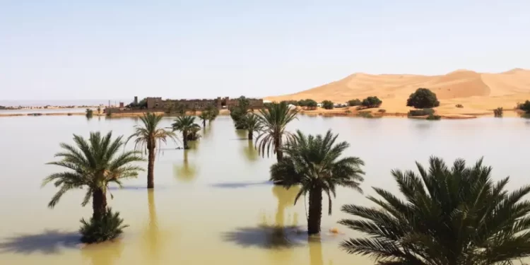 Gurun Sahara Dilanda Banjir