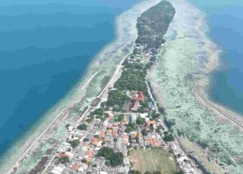 Komitmen DKPKP DKI Jakarta Wujudkan Ekonomi Biru Berkelanjutan