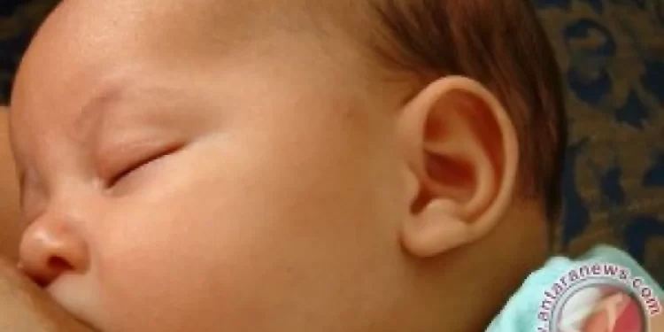 Susu Formula Boleh Jadi Pengganti ASI Dalam Kondisi Khusus