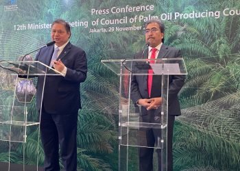 Menko Airlangga: Indonesia Dukung Keberlanjutan Industri Kelapa Sawit