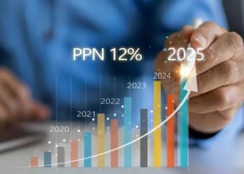 Tanpa Ubah UU, DPR Sebut PPN 12% Bisa Ditunda