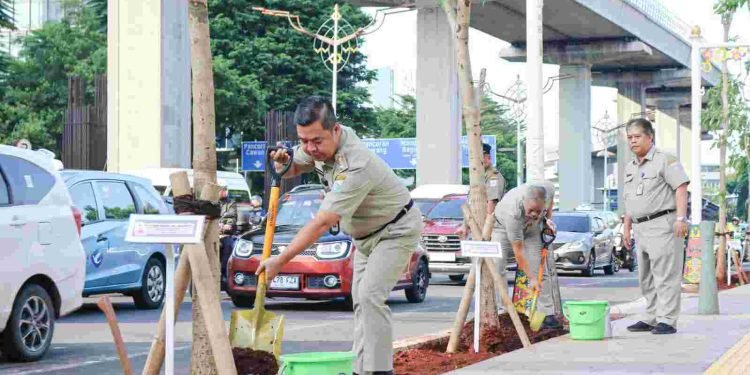 Percantik Kota dan Kurangi Polusi, Pemprov DKI Tanam Pohon Tabebuya di Kuningan