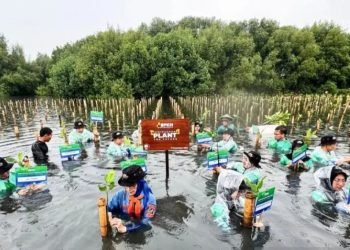 BPKH Tanam Ribuan Pohon Mangrove di Pesisir Jakarta