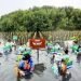 BPKH Tanam Ribuan Pohon Mangrove di Pesisir Jakarta