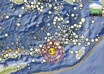 Gempa Bumi Terjadi di Maluku Barat Daya
