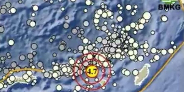 Gempa Bumi Terjadi di Maluku Barat Daya