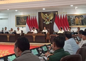 Presiden: Indonesia Kemungkinan Tak Impor Beras di 2025