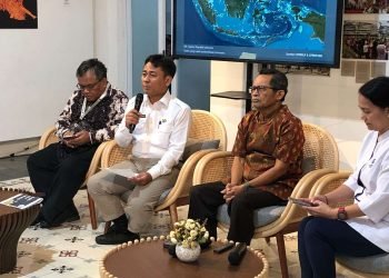 Tahun 2024, BIG Temukan Pulau Baru di Indonesia