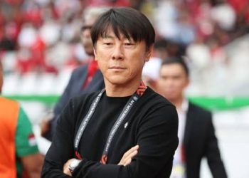 Sederet Prestasi Shin Tae-young yang Tak Terlupakan