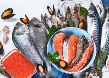 10 Daftar Ikan Mengandung Merkuri Tinggi