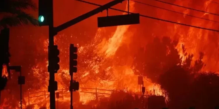 Kerugian sesuai laporan AccuWeather tersebut ternyata melampaui nilai bantuan AS untuk Israel dalam melancarkan serangan ke Palestina sejak 1959. Israel, sekutu terkuat AS di Timur Tengah, dicatat sebagai penerima bantuan militer AS terbesar dalam sejarah. Israel dicatat menerima 251,2 miliar dalam dolar yang disesuaikan dengan inflasi sejak 1959, menurut laporan Watson Institute, Universitas Brown