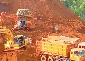 Menurut Kristijanto, fenomena tersebut tentu mengganggu persaingan pasar truk di Indonesia. Pada dasarnya, Hino memandang bahwa perdagangan bebas merupakan suatu keniscayaan. Namun, jika terjadi perbedaan perlakuan antara satu pelaku usaha dengan pelaku usaha lainnya, maka industri truk dalam negeri pada akhirnya akan dirugikan.