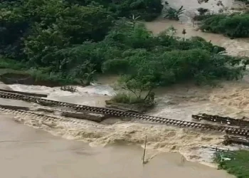 Dalam menerapkan rekayasa pola operasi yang ada, KAI dicatat mengalihkan rute perjalanan pada 27-31 Januari 2025 dengan cara sebagai berikut. Pertama. Memutar via Gambringan-Gundih-Brumbung. Kedua. Memutar via Surabaya-Yogyakarta-Purwokerto-Cirebon