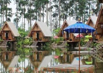 Tidak hanya akumulasi tahun 2024, lesunya kunjungan juga terjadi pada momen libur Natal dan Tahun Baru (Nataru). Kawasan wisata Lembang malah sepi pengunjung di momen libur panjang ini. Angka okupansi hotel juga cenderung rendah dibandingkan libur Nataru tahun sebelumnya. Menurut Publik Relation The Great Asia Africa (TGAA) Lembang Intan Setiati, di libur Nataru kali ini okupansi kunjungan menurun hingga 30 persen dibandingkan tahun sebelumnya