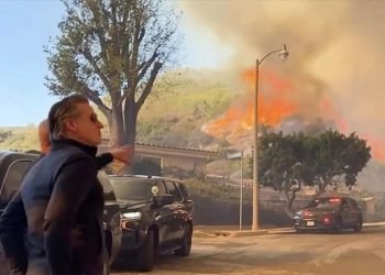 Apa Penyebab Kebakaran Hutan Los Angeles? Ini Jawabannya