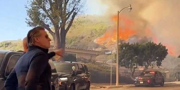 Apa Penyebab Kebakaran Hutan Los Angeles? Ini Jawabannya