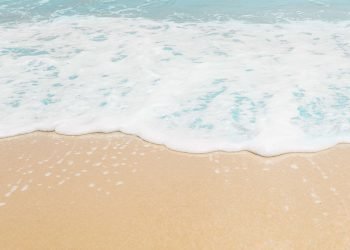 Bola Misterius di Pantai Sydney Mengandung Bakteri Feses