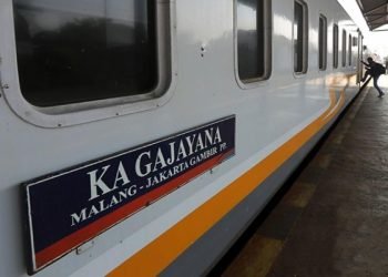 Menurut Sujarwo, kecelakaan kereta api terjadi karena korban panik merasa gerbong yang ditumpangi sudah melewati stasiun (tujuan), sehingga berusaha turun dari kereta api, sehingga korban terjatuh dari kereta api. Korban mengalami luka pada bahu kanan memar dan patah tulang pada kaki kiri dan tengah mendapat penanganan medis